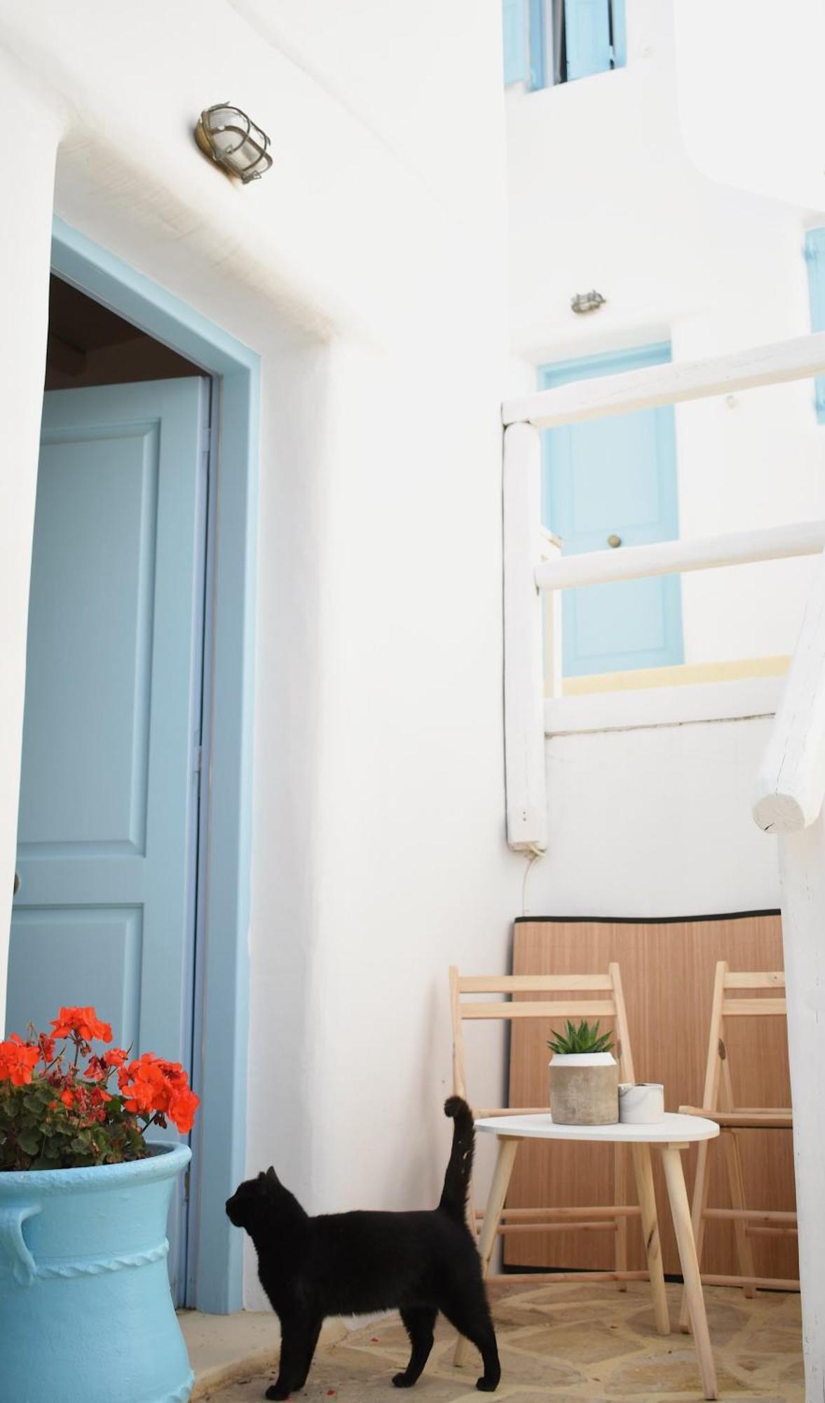 Nisos Home Stay Mykonos Town Extérieur photo